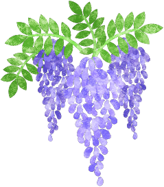 whisteriya.png