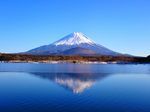 M.fuji.JPG