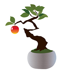 bonsai1.jpg